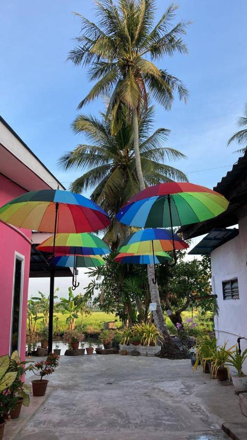 Pink Homestay D'Perlis Kangar Exterior photo